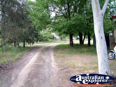 Tumut Go Cup School Driveway . . . CLICK TO VIEW ALL TUMUT POSTCARDS