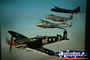 Temora Aviation Museum Painting . . . CLICK TO ENLARGE