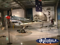 Temora Aviation Museum Shark Plane . . . CLICK TO ENLARGE