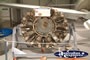 Temora Aviation Museum Propeller . . . CLICK TO ENLARGE