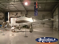 Plane at Temora Aviation Museum . . . CLICK TO ENLARGE