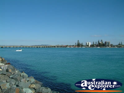 Forster's View . . . CLICK TO VIEW ALL FORSTER POSTCARDS