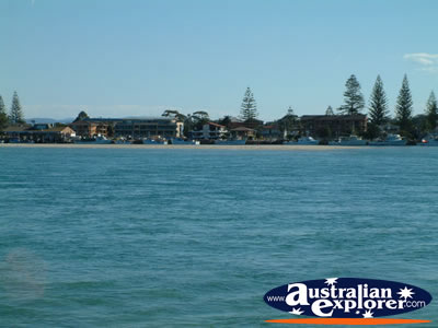 View of Forster . . . CLICK TO VIEW ALL FORSTER POSTCARDS