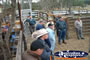 Gloucester Sale Yards . . . CLICK TO ENLARGE