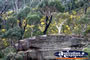 Lithgow, Zig Zag Railway Scenery . . . CLICK TO ENLARGE