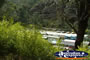 Lithgow, View of Trains at Zig Zag Railway . . . CLICK TO ENLARGE