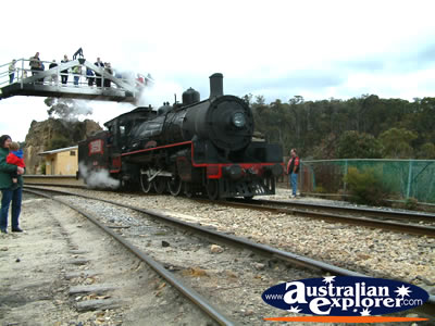 Train at Lithgow, Zig Zag Railway . . . CLICK TO VIEW ALL LITHGOW POSTCARDS