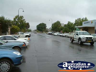 Warren Main St . . . CLICK TO VIEW ALL WARREN POSTCARDS