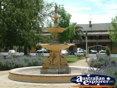 Forbes Fountain . . . CLICK TO VIEW ALL FORBES POSTCARDS