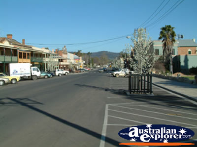 Mudgee Main St . . . CLICK TO VIEW ALL MUDGEE POSTCARDS