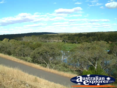 View of Narrandera from Lake Talbot Caravan Park . . . CLICK TO VIEW ALL NARRANDERA POSTCARDS