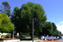 Queanbeyan Park . . . CLICK TO ENLARGE