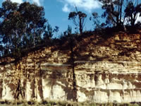 The Bells Line of Road.