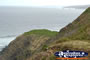 Grassy Spots on Cape Byron . . . CLICK TO ENLARGE