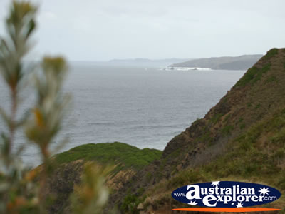 Headland at Cape Byron . . . CLICK TO VIEW ALL CAPE BYRON POSTCARDS