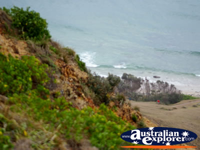 View from Cape Byron Headland . . . CLICK TO VIEW ALL CAPE BYRON POSTCARDS