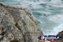 Cape Byron Rockface . . . CLICK TO ENLARGE