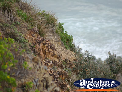 Cape Byron Headland . . . CLICK TO VIEW ALL CAPE BYRON POSTCARDS