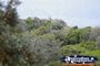 Cape Byron Landscape . . . CLICK TO ENLARGE