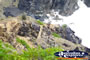 Waves breaking on the rocks at Cape Byron . . . CLICK TO ENLARGE