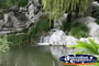 Sydney Chinese gardens . . . CLICK TO ENLARGE