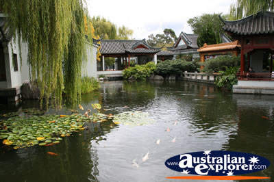 Chinese Garden Lake . . . VIEW ALL SYDNEY PHOTOGRAPHS