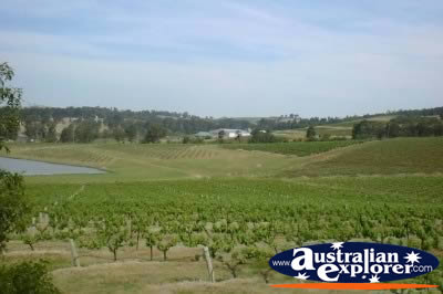 Hunter Valley Landscape . . . VIEW ALL HUNTER VALLEY PHOTOGRAPHS