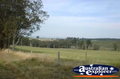 Roadside in the Hunter Valley . . . CLICK TO VIEW ALL HUNTER VALLEY POSTCARDS