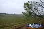 Hunter Valley . . . CLICK TO ENLARGE