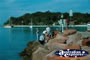 Nelson Bay . . . CLICK TO ENLARGE
