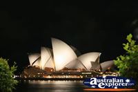 Sydney Opera House at Night . . . CLICK TO ENLARGE