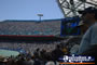 Sydney Olympic Stadium Audience