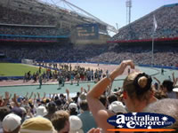 Olympic Stadium Race in Sydney . . . CLICK TO ENLARGE