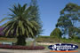 Port Macquarie Flowers