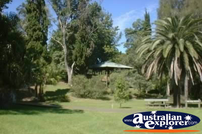 Port Macquarie Parkland . . . VIEW ALL PORT MACQUARIE PHOTOGRAPHS