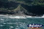 Port Stephens Dolphins . . . CLICK TO ENLARGE