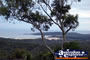 Port Stephens Nelson Bay . . . CLICK TO ENLARGE