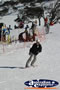 Skiing Snowy Mountains . . . CLICK TO ENLARGE