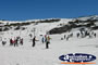 Skiing Snowy Mountains . . . CLICK TO ENLARGE