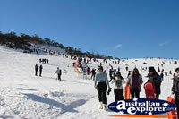 Skiing and Crowds at Snowy Mountains . . . CLICK TO ENLARGE