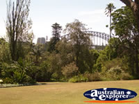View of Sydney Botanical Gardens . . . CLICK TO ENLARGE