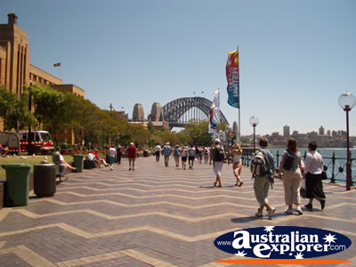 Sydney Harbour . . . CLICK TO VIEW ALL SYDNEY POSTCARDS