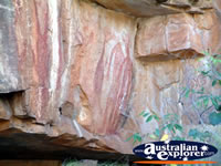 Drawings on the Rock in Katherine Gorge . . . CLICK TO ENLARGE