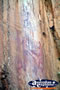 Rock Art at Katherine Gorge . . . CLICK TO ENLARGE