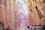 Katherine Gorge Rock Art . . . CLICK TO ENLARGE