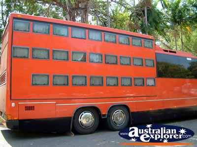 Darwin Bus . . . CLICK TO VIEW ALL DARWIN POSTCARDS