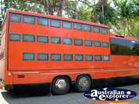Darwin Bus . . . CLICK TO ENLARGE
