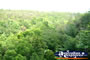 Litchfield National Park Forestry . . . CLICK TO ENLARGE