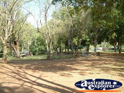 View of Timber Creek Caravan Park . . . CLICK TO VIEW ALL VICTORIA RIVER POSTCARDS
