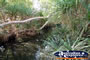 Timber Creek Caravan Park Small Creek . . . CLICK TO ENLARGE